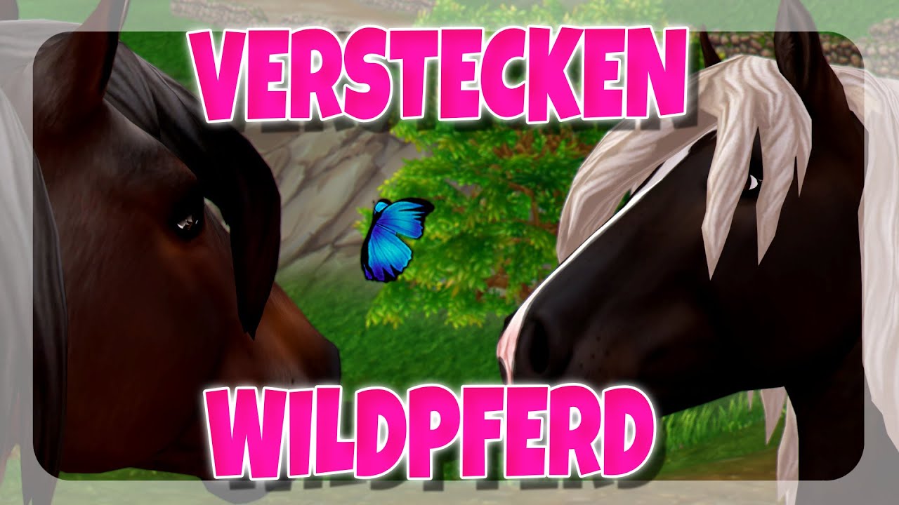 VERSTECKEN ALS WILDPFERD im REITLAGER🐴 | Star Stable [SSO]