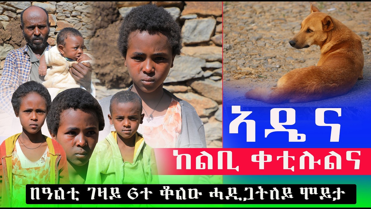 ንበዓልቲ ገዛይ  ናይ ባዕለይ ከልቢ ቀቲሉለይ ኣዴና ከልቢ  ቀቲሉልና 6ተ ቆልዑ በይንና ተሪፍና