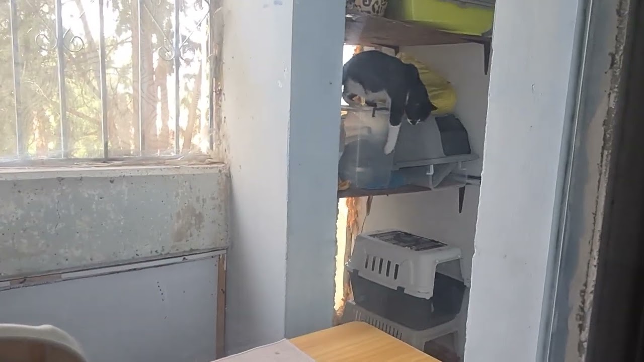 27 января 2026 г.