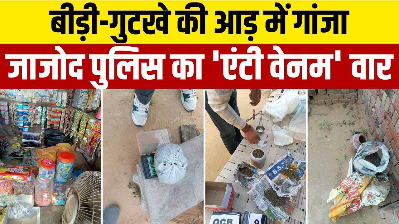 सीकर: दुकान की आड़ में बिक रहा था गांजा, 388 ग्राम के साथ आरोपी गिरफ्तार!  #SikarPolice #AntiVenom