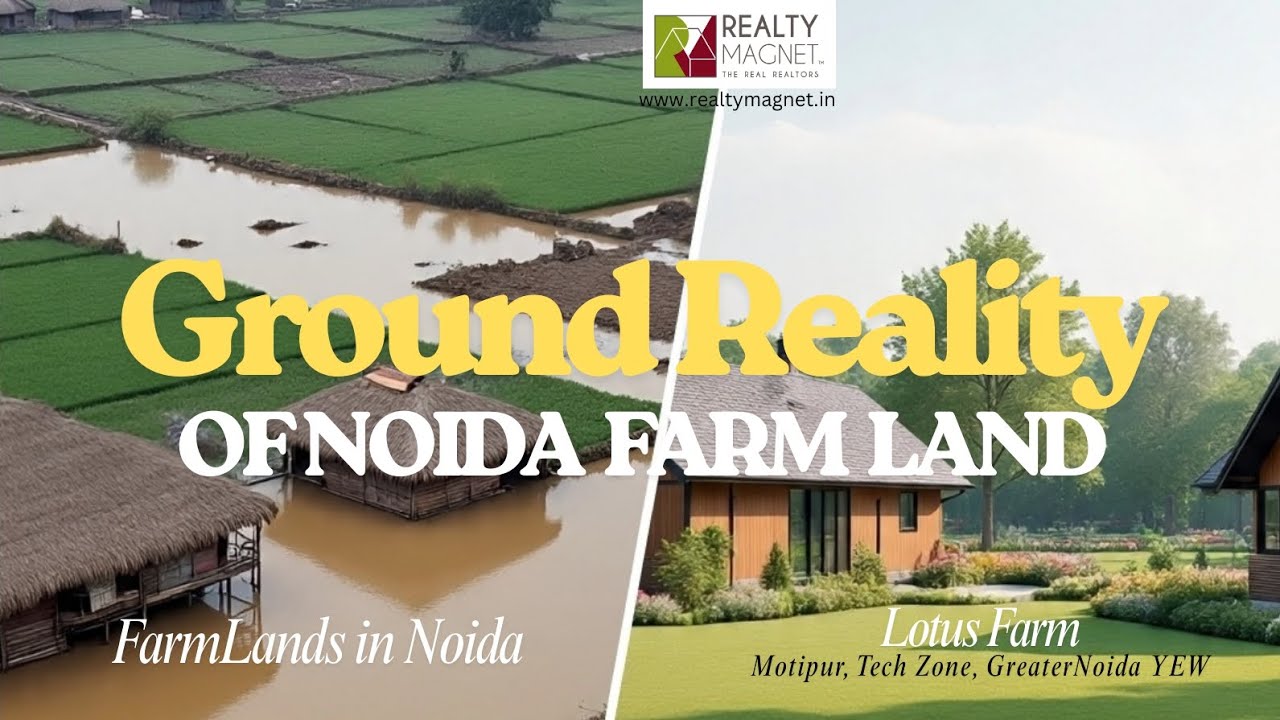 Smart Investment in Noida's Flood Plains Farmland: Know the Risks and Rewards 