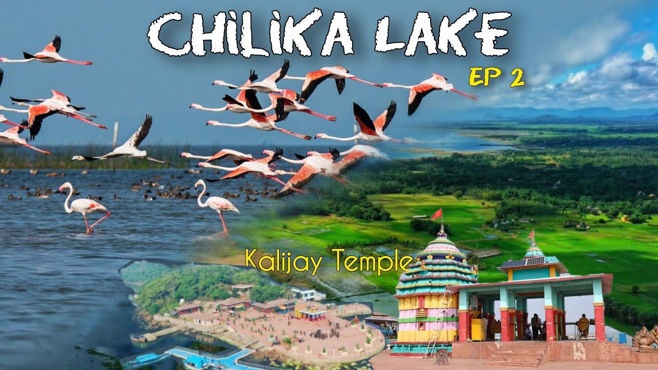 #Chilika Lake Vlog ✨ |  Kalijai Temple  | Boat Ride : Daringbadi Series #largestlake  #banglavlog 