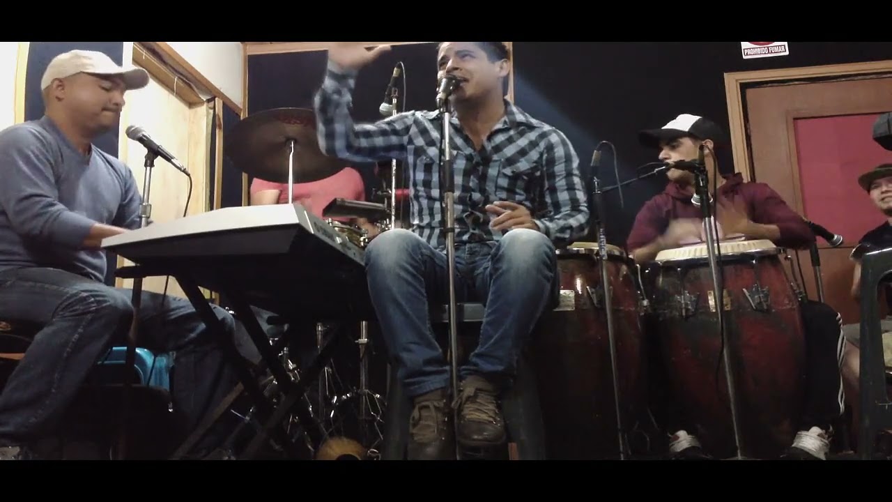 Bachata rosa 
