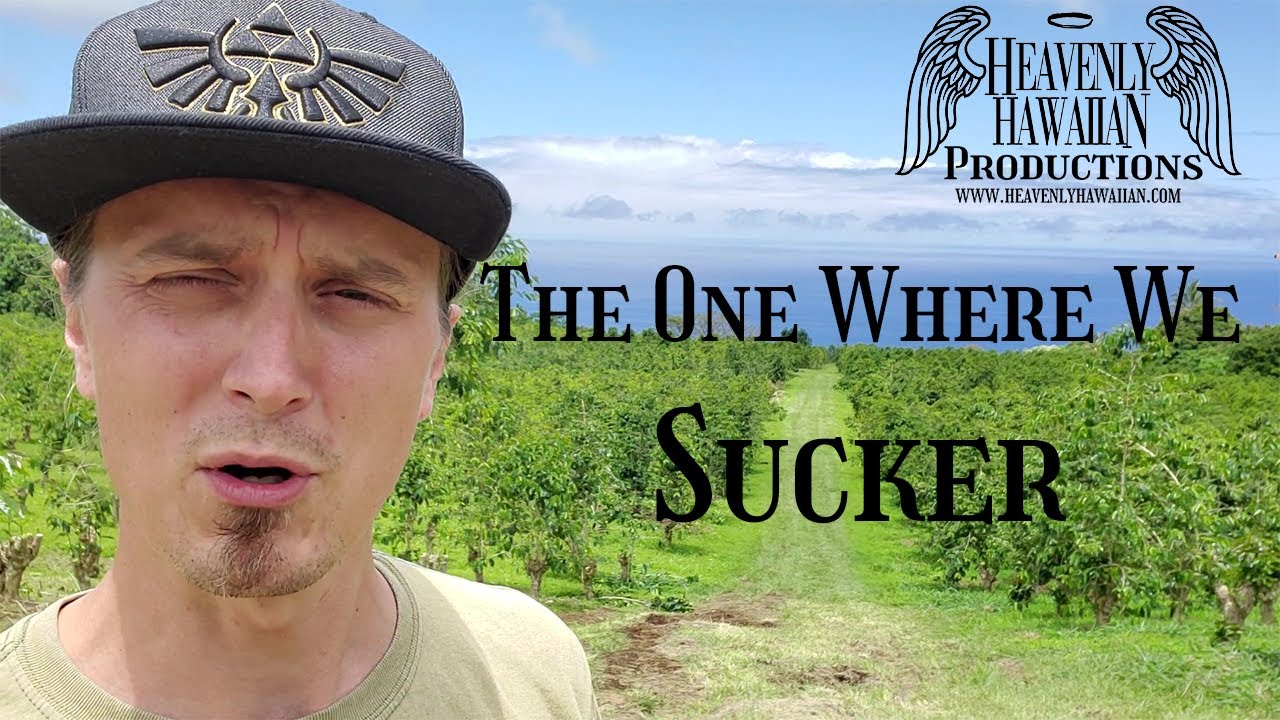 THE ONE WHERE WE SUCKER Our 100% Kona Coffee at Heavenly Hawaiian Coffee Farm