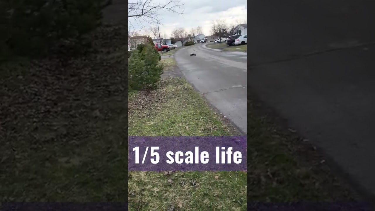 1/5 scale life!