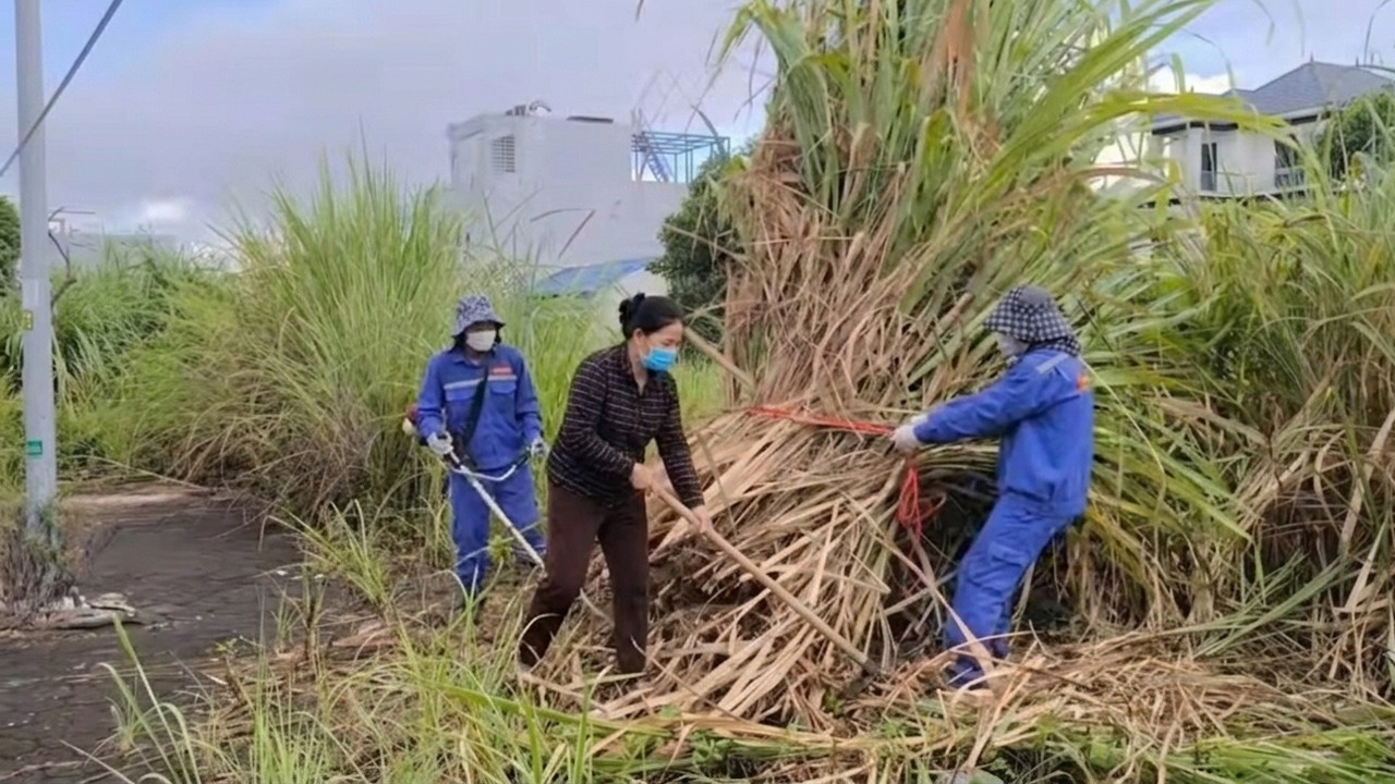 The retired teacher was deeply moved by our initiative to clean up the sidewalk.