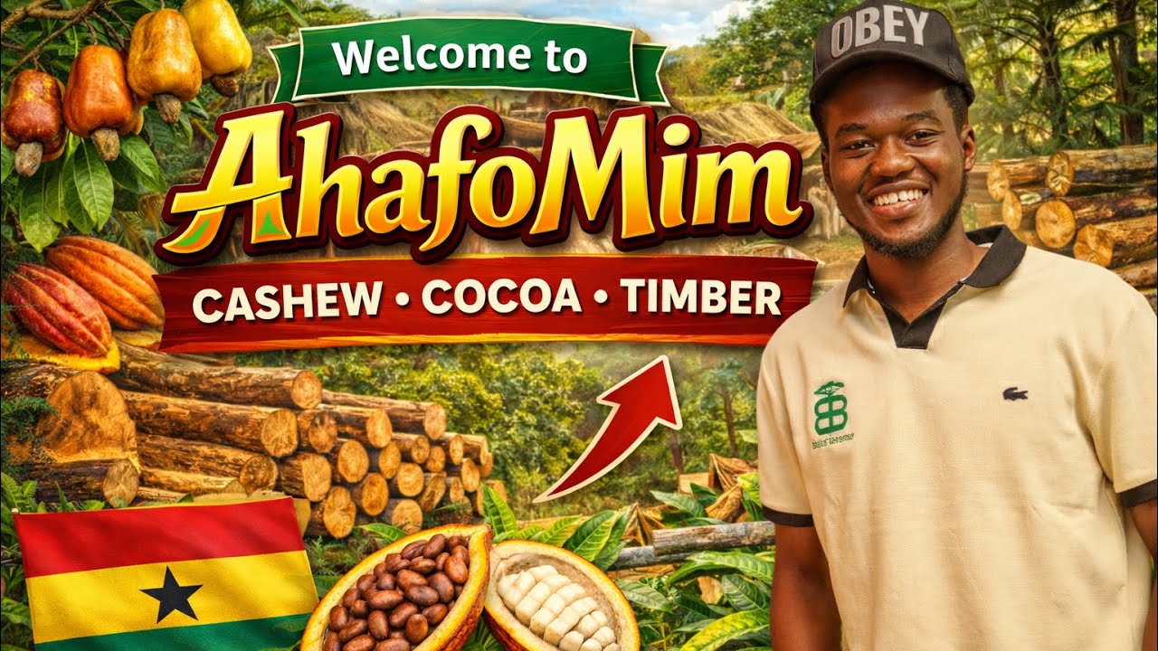 Ahafo Mim Town | Home of Cashew, Cocoa & Timber in Ghana 🇬🇭