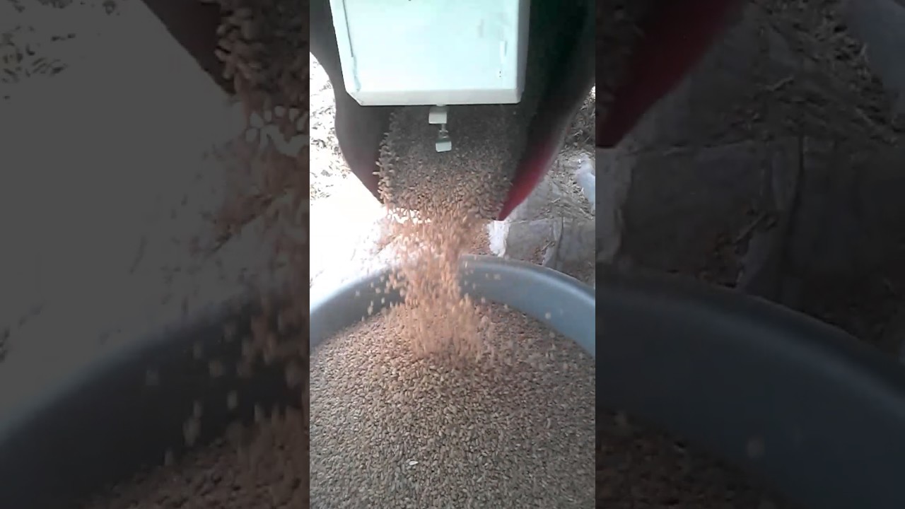 Shaktiman multicrop thresher