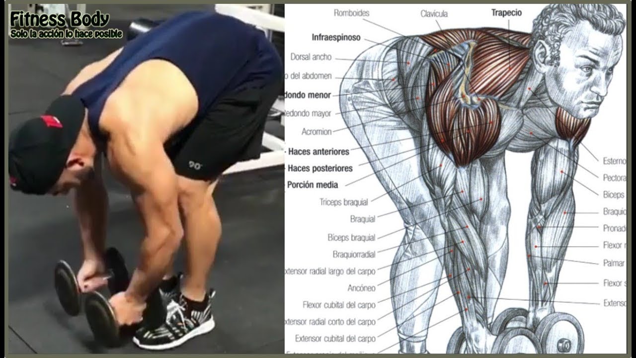 12 EXERCISES TO TRAIN THE REAR SHOULDER, 12 EJERCICIOS PARA ENTRENAR HOMBROS (DELTOIDES) POSTERIOR