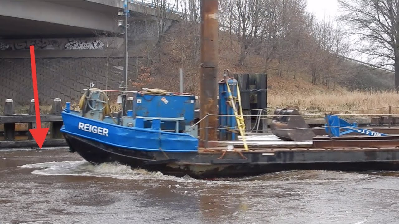 Het Lijkt Bijna Steady Elfstedenijs, Maar Deze REIGER Denkt Er Iets Anders Over* - #3546NL