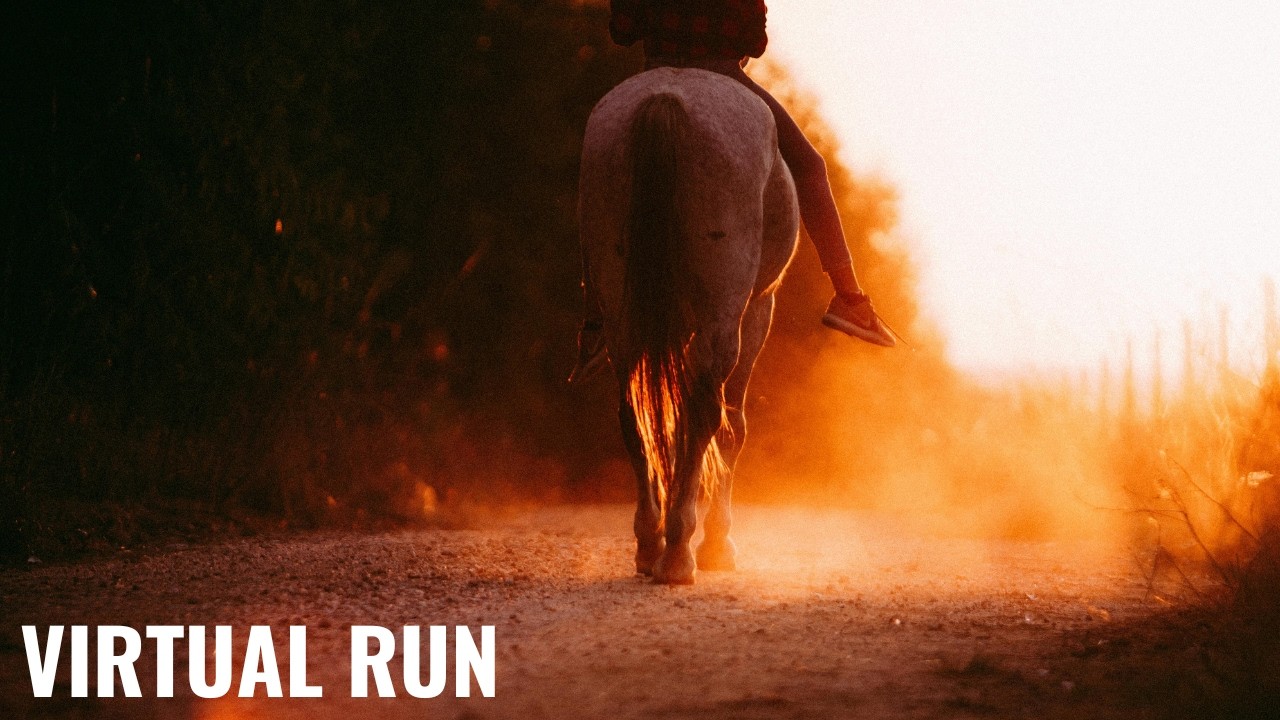 Virtual Running in Chula Vista 4K Calm Morning | Treadmill Running Cool Morning