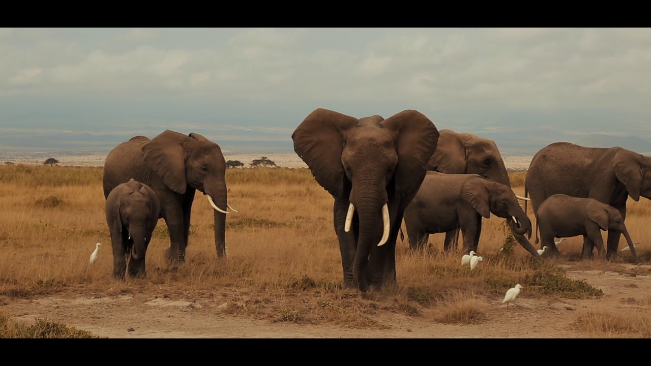 Africa Riding Adventures - Rwanda, Burundi, Tanzania, Malawi, and Uganda Tour with Lithuanian group.