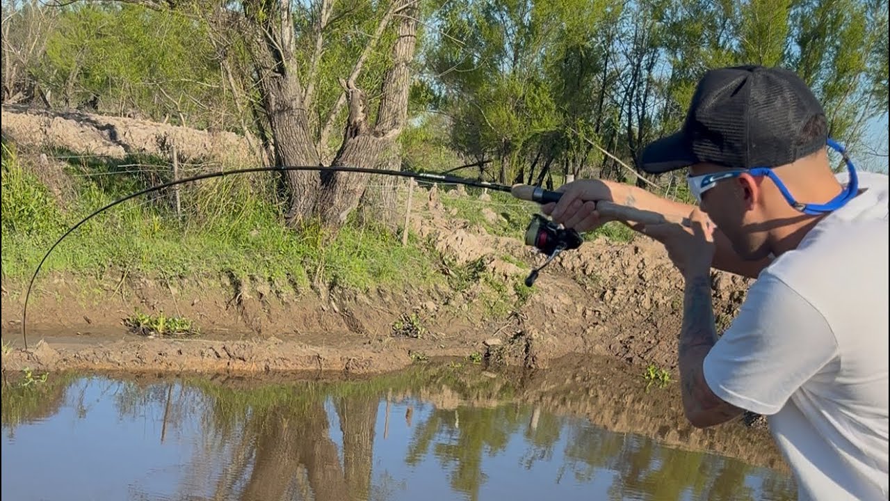 SALIÓ LA BESTIA! IMPRESIONANTE PESCADO SACAMOS EN EL PARANA PESCA Y COCINA 🎣🎣 