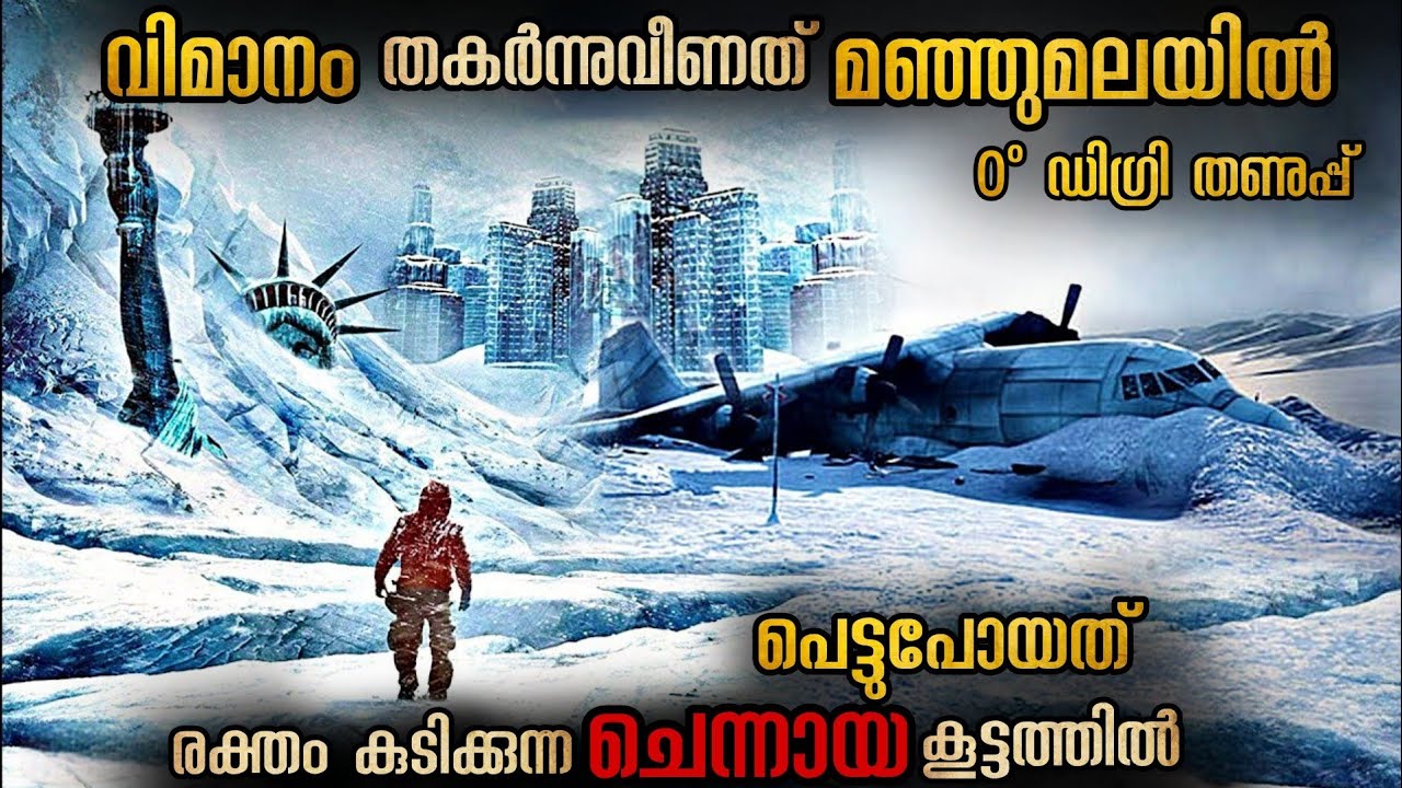 വിമാനം തകർന്നു വീണത് 