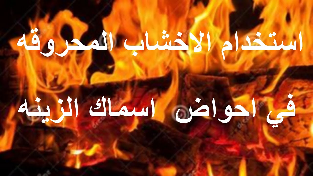 استخدام الاخشاب المحروقه في احواض اسماك الزينه