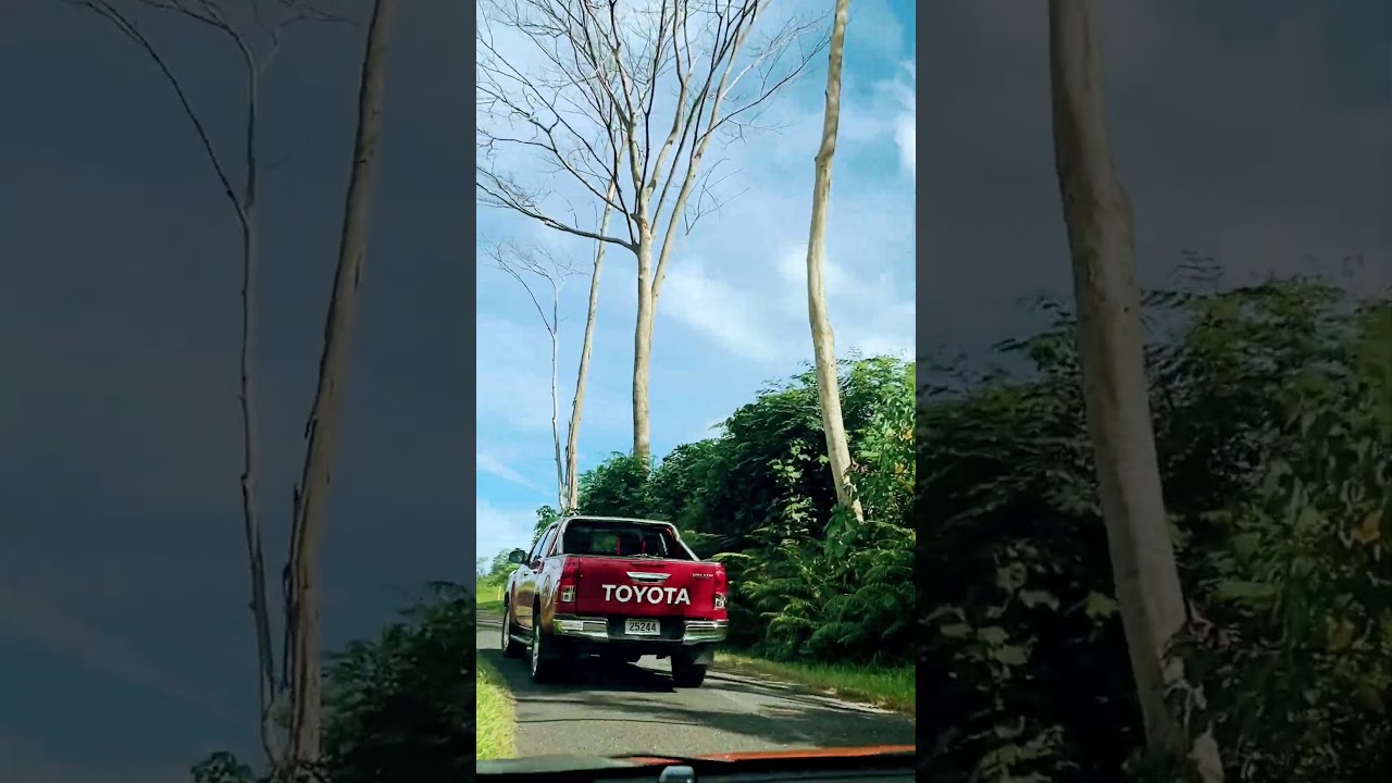 Lefaga drive to Falelatai #samoa #naturelovers #shorts #shortsforyou #sundaydrive #greenery #samoa