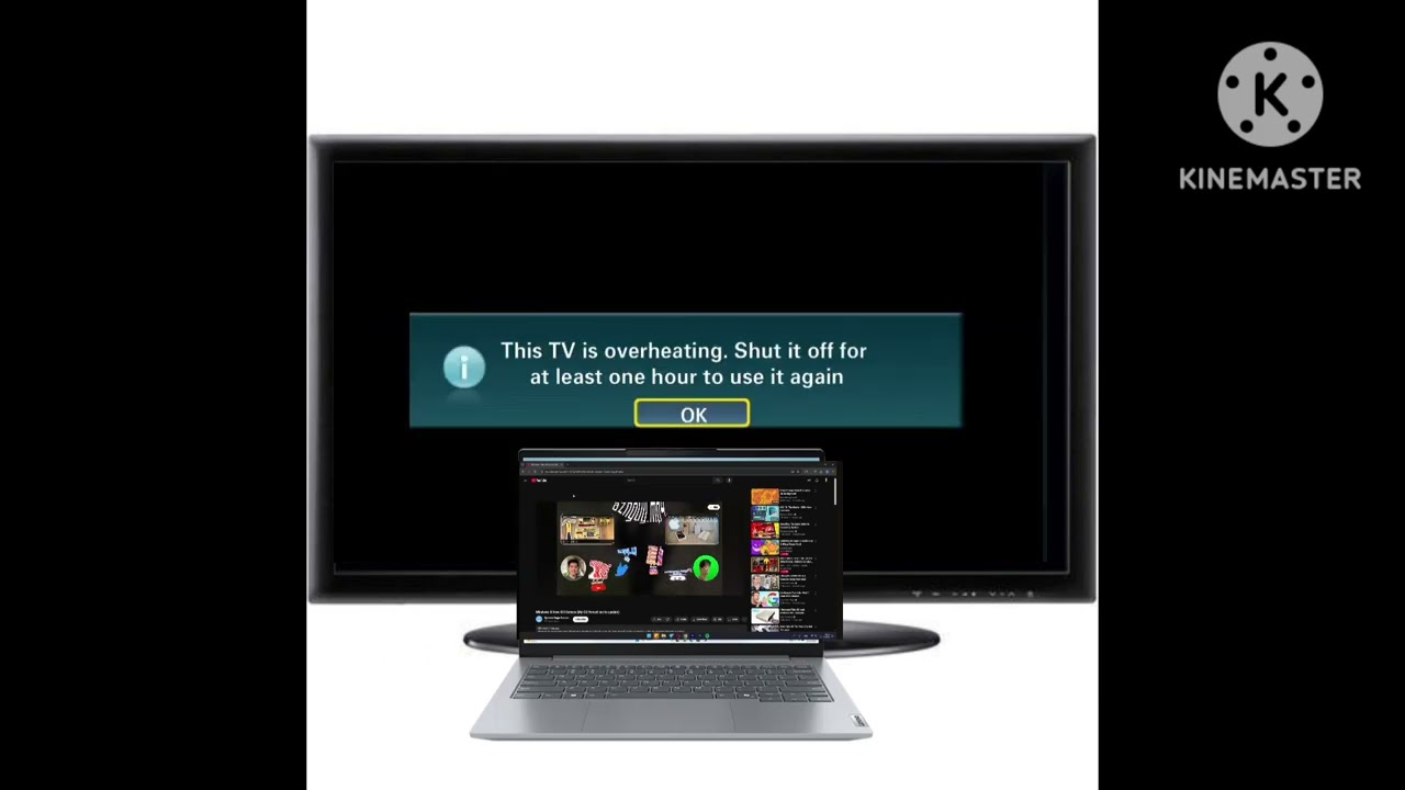 Samsung Tv kill screen (2008 V9)