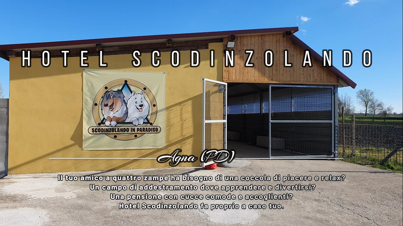 Hotel Scodinzolando/Pensioni per cani Agna(PD) 4K Cinematic