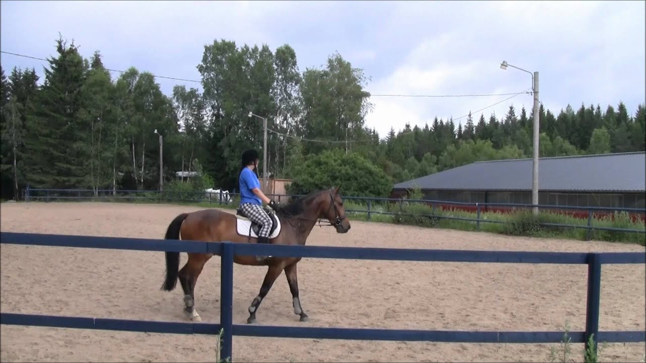 första med Repooc Ecila