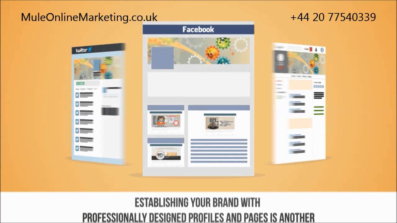 Mule Online Marketing Ilford &ndash; Establish your Brand today with Professional Design and Optimization