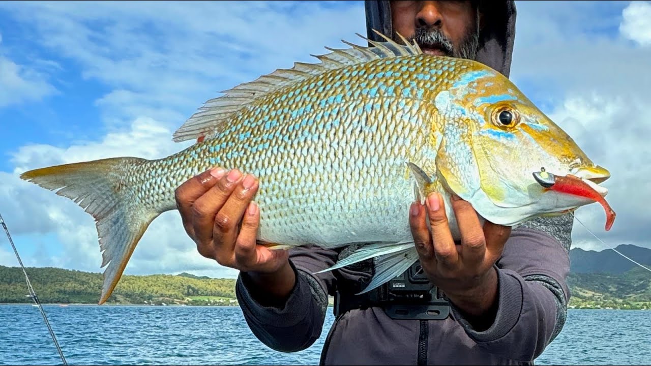 Winter Fishing Trip in the south-east coasts of Mauritius - Ep83