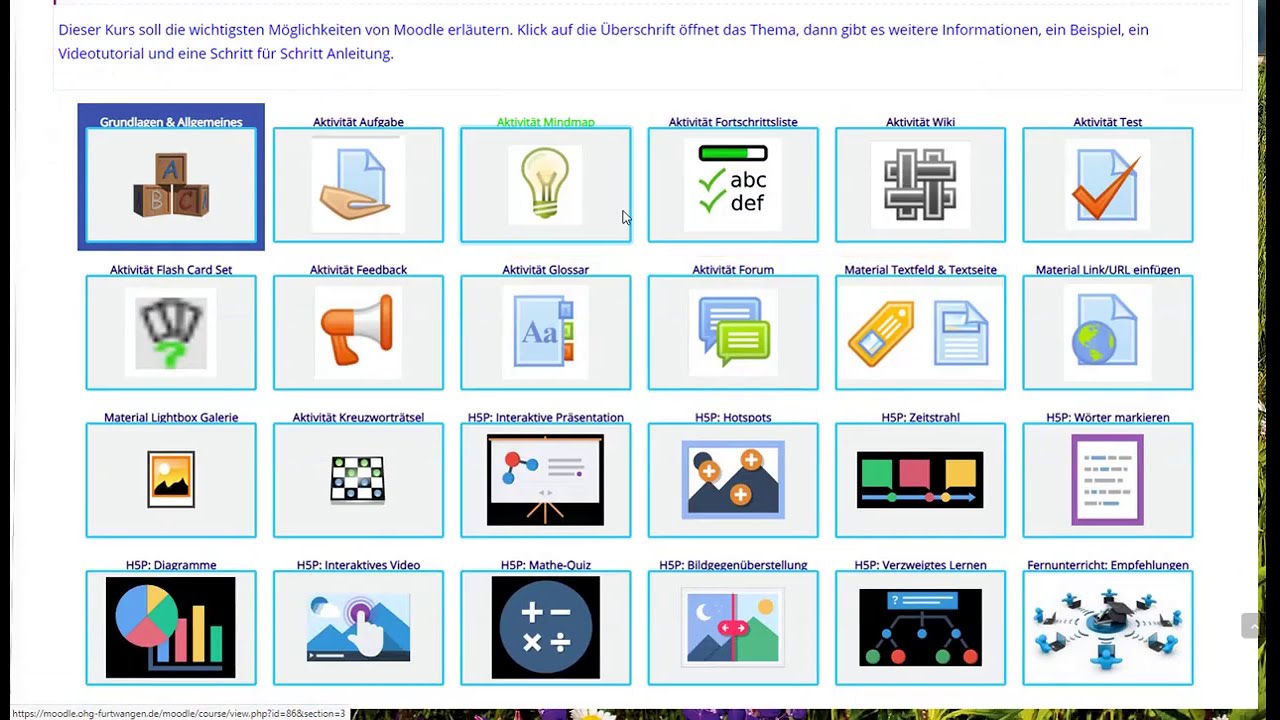 Moodle - Kursformate