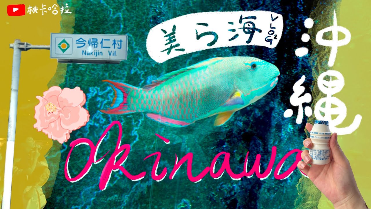 🌺沖繩Vlog-2｜🔥美麗海水族館鯨鯊🐠｜今歸仁城跡🏯｜🍚深夜生雞蛋拌飯🥚｜郊區超市🛒#日本 #travel