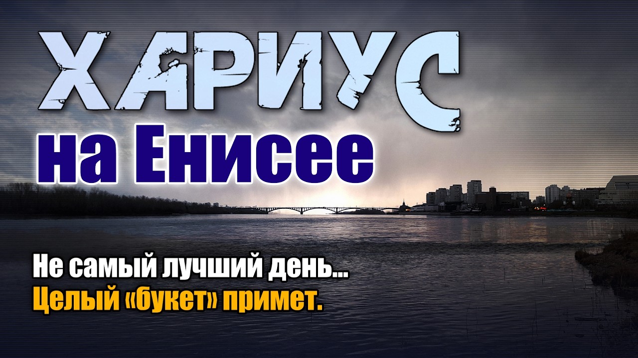 Хариус на Енисее. Не самый лучший день... Целый 