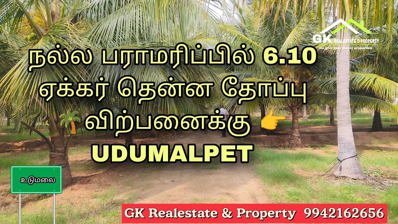 நல்ல பராமரிப்பில் 6.10 ஏக்கர் தென்ன தோப்பு 🌴விற்பனைக்கு 👉 UDUMALPET 