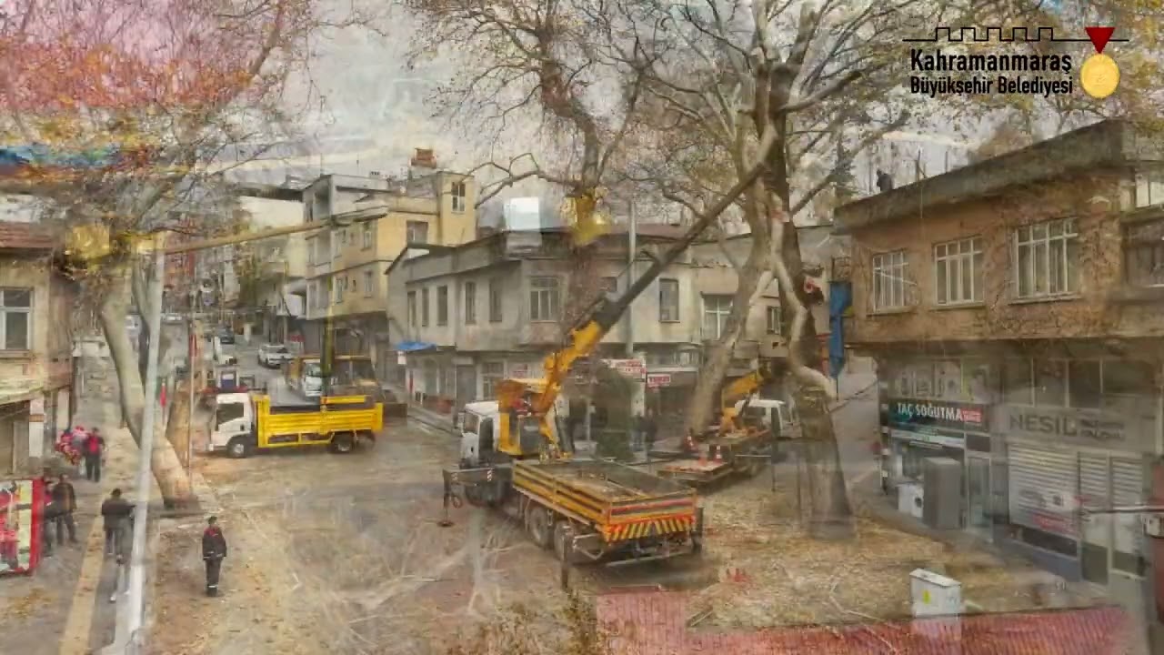uzunoluk cad sert budama