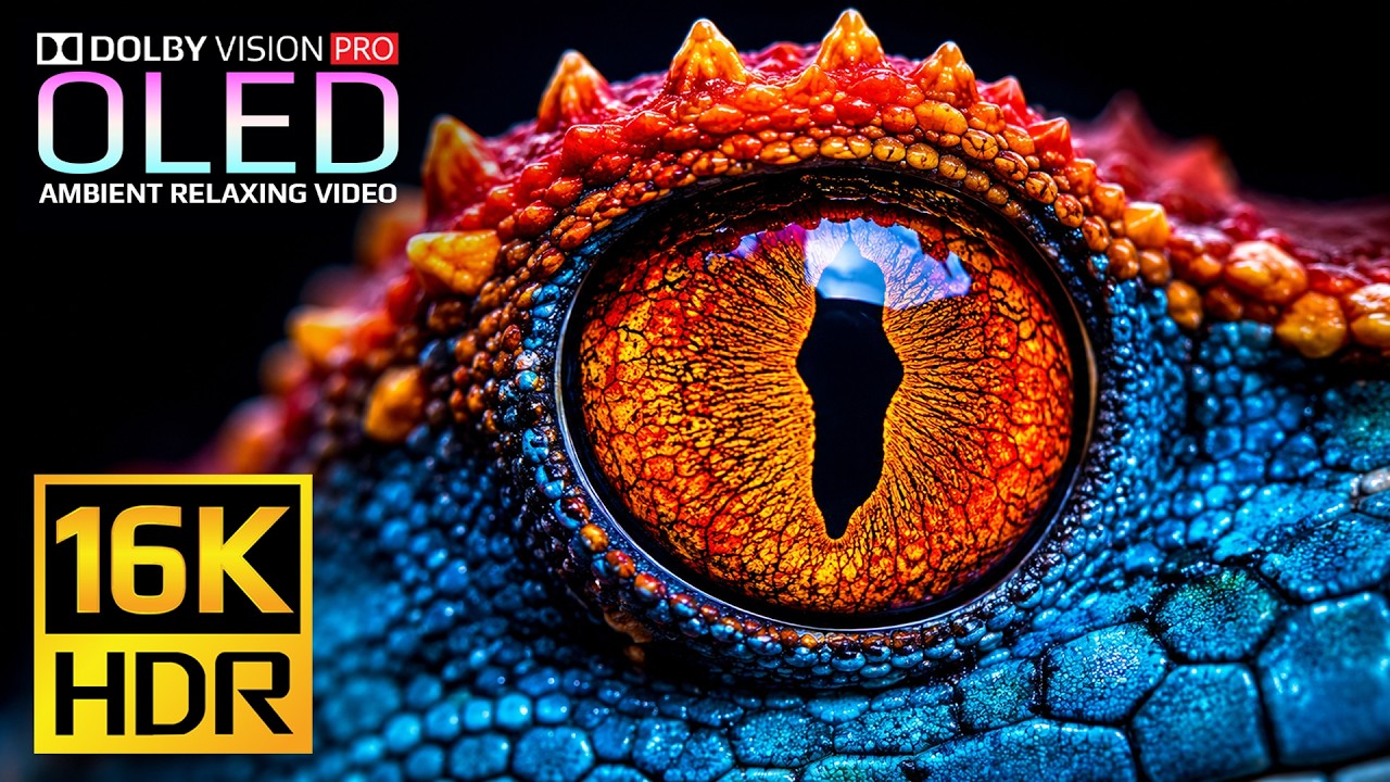 Animals & Nature Video for Display Test - Dolby Vision 16K HDR 240fps | 4K Video &bull; 8K Ultra HD TV
