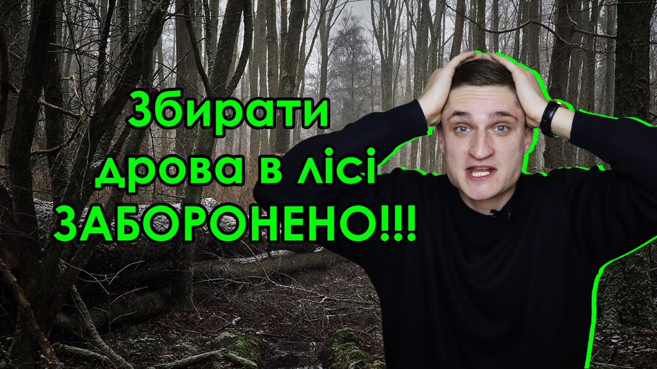 УВАГА!!! Збирати дрова в лісі ЗАБОРОНЕНО!