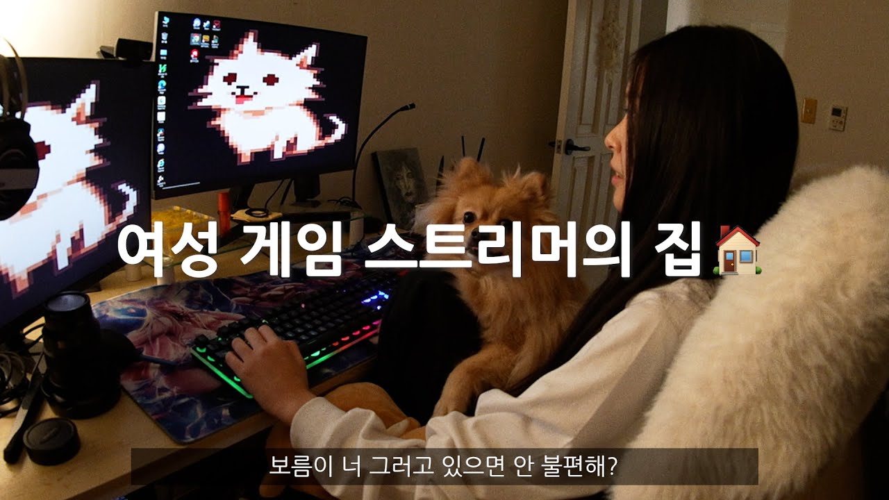 🏠연남동에 사는 집순이 게임 스트리머의 집[친구집 룸투어]