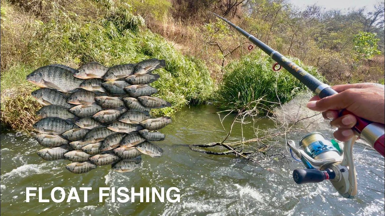 Fishing at Thippagondanahalli | Big Catch & Scenic Views! 🎣
