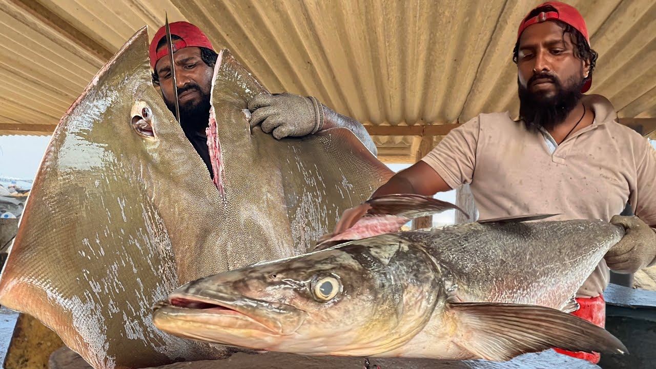 Brutal! Monster Fish Breakdown — Market Masters Mr.Sampath at Work 