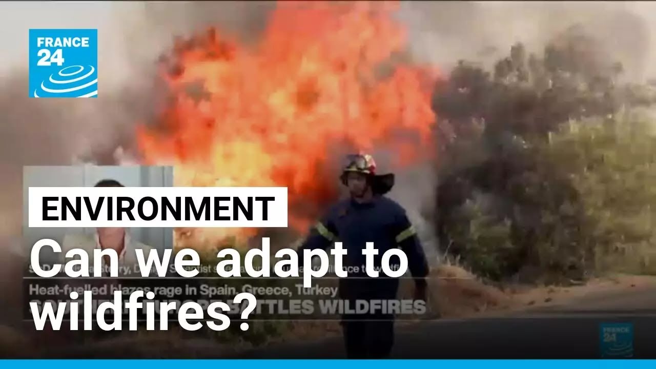 How can we adapt to the growing risk of wildfires? &bull; FRANCE 24 English