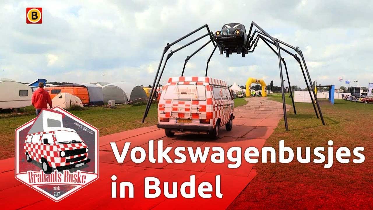 Tientallen Volkswagenbusjes in Budel