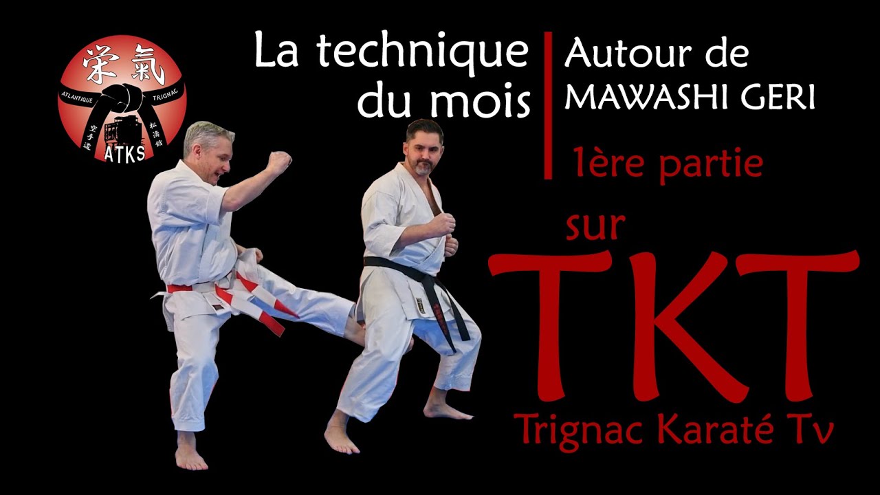 LA TECHNIQUE DU MOIS / AUTOUR DE MAWASHI GERI (Part 1)