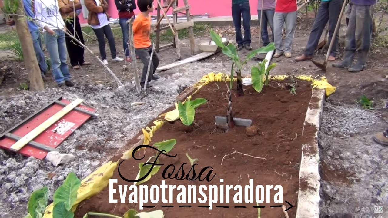Aprenda a fazer uma Fossa Evapotranspiradora