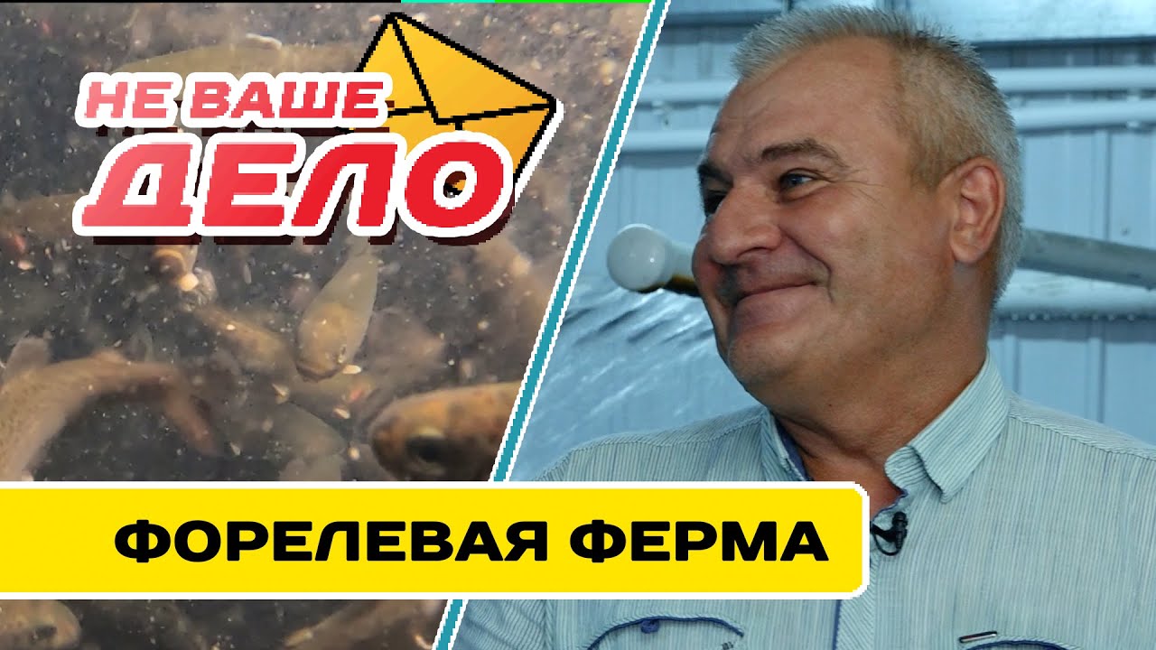 Единственная форелевая ферма в Забайкальском крае | НЕ ВАШЕ ДЕЛО