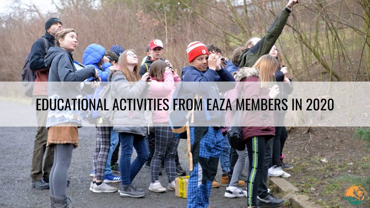 2020 Education highlights by EAZA Members