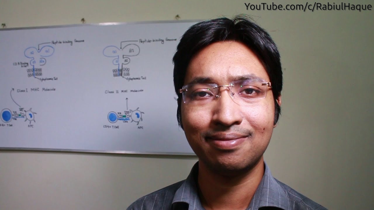 MHC Molecules Part 1 HD