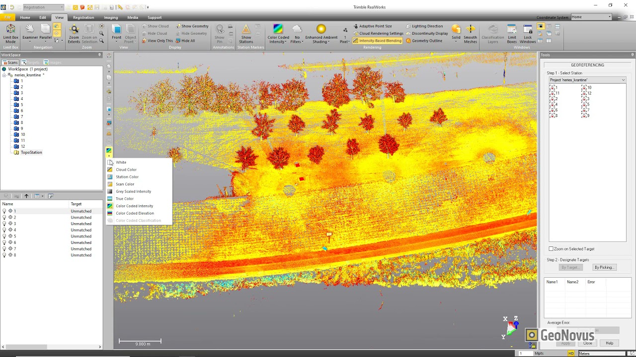 Trimble RealWorks. Georeferencing to local coordinates