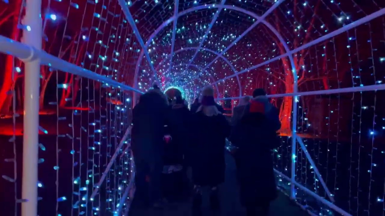 WINDSOR GREAT PARK ILLUMINATED