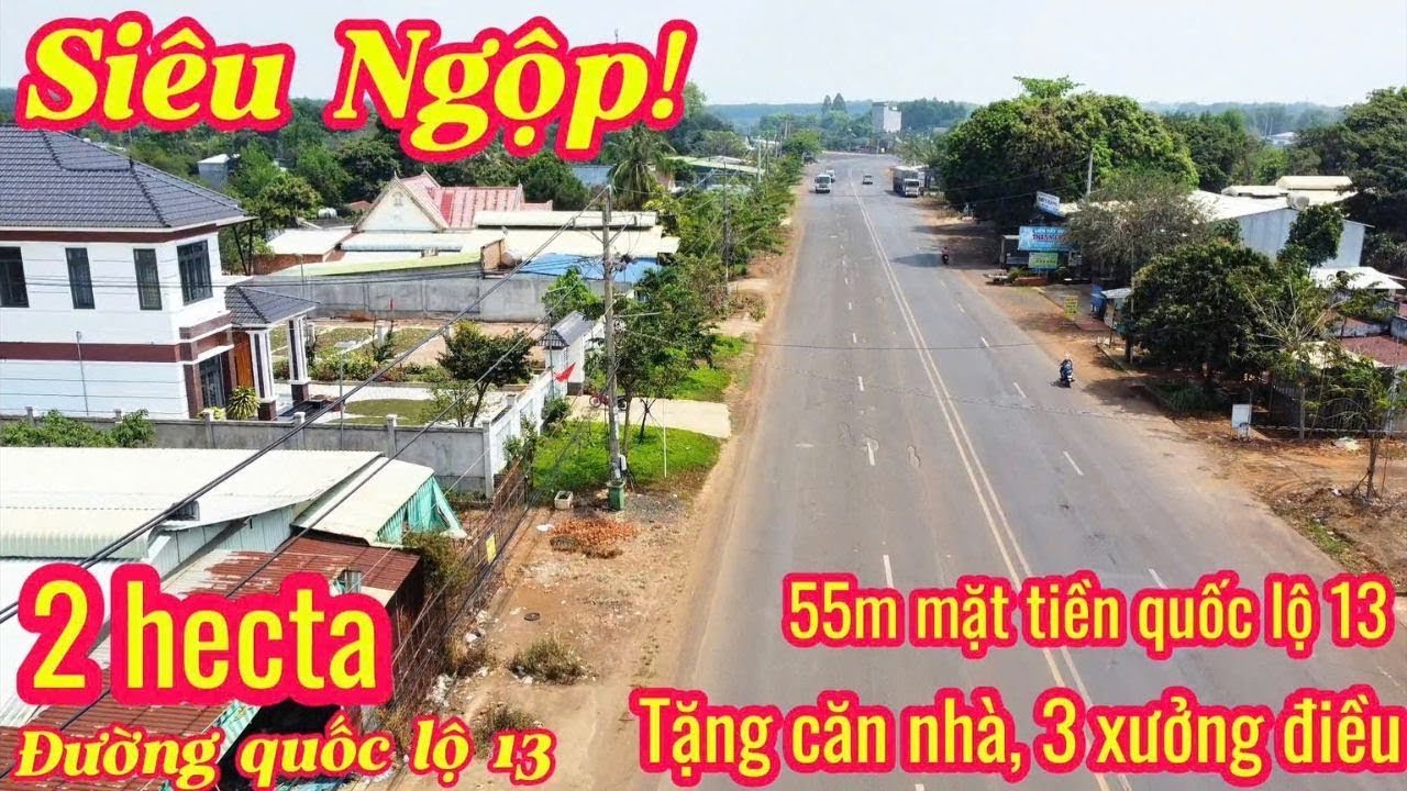 Ngộp ngân hàng cần ra đi cứu chủ! 2 hecta 55m mặt tiền đường quốc lộ 13, tặng 1 căn nhà 3 xưởng điều