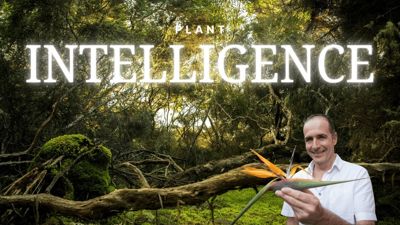 Plant Consciousness and Intelligence | Paco Calvo
