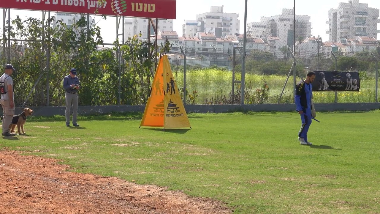 Airedale Terrier IGP 3 Israel Championship 2023 C 92 part 1