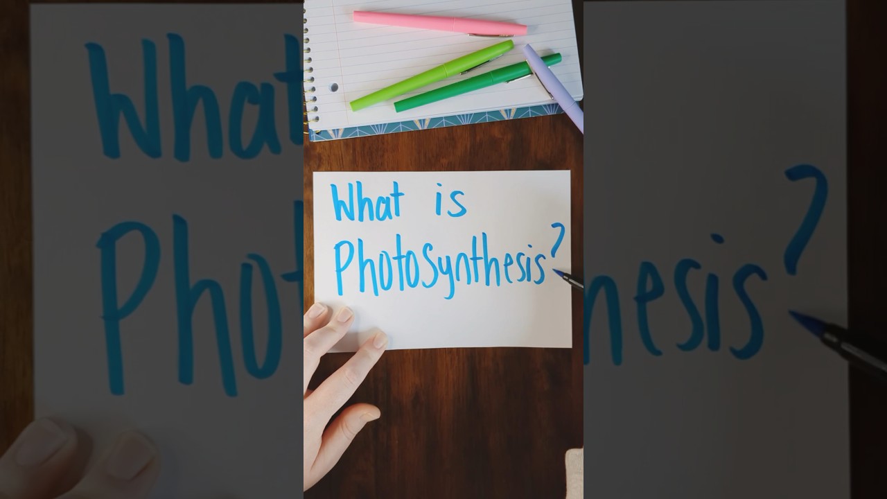 Photosynthesis EXPLAINED in 30 seconds! What is photosynthesis? 🌿 science for kids