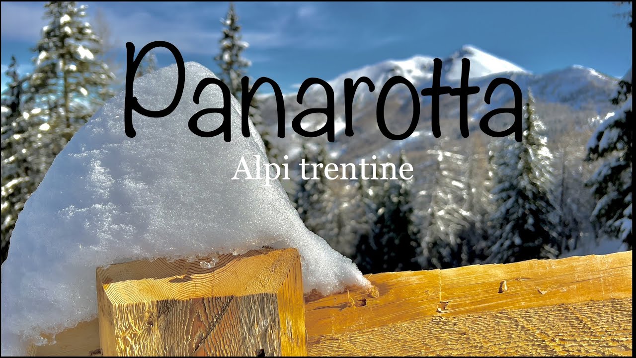 Volevo andare sul Monte Fravort - TN - traccia in descrizione.