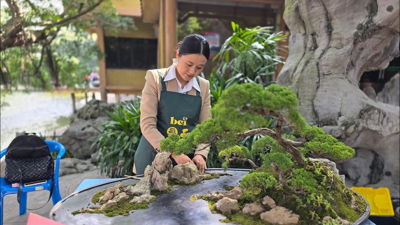 China Bonsai exhibition 2024